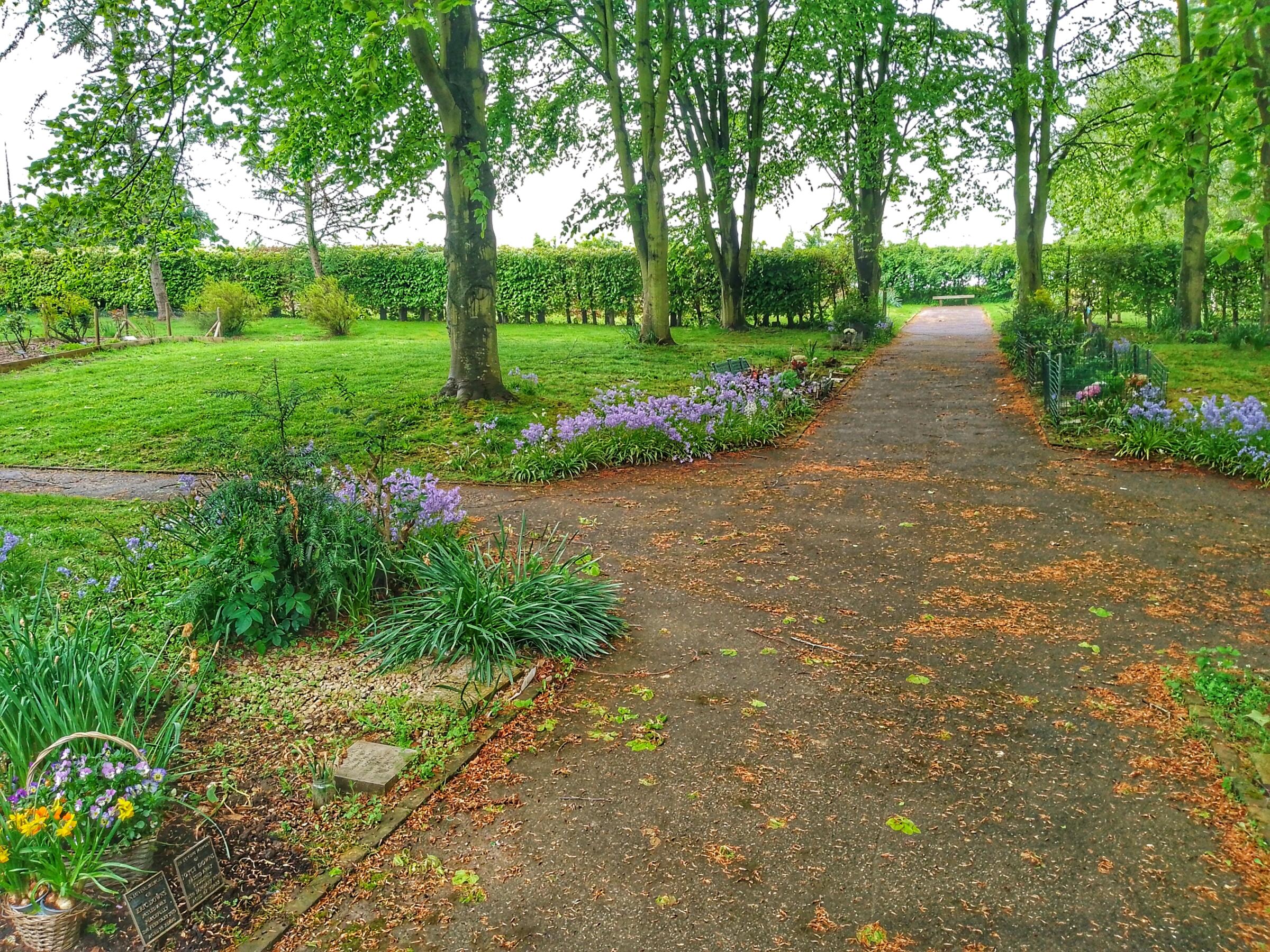 Cemetery-grounds